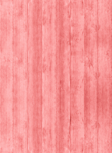 引人入胜的网站攻击测试